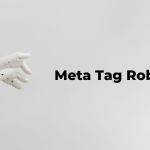 Google Meta Tag Robots